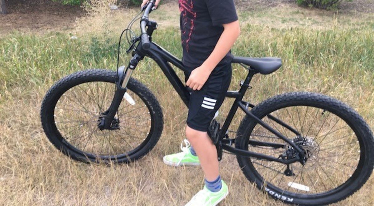 Stolen Devinci Blackbird Altus 8S Stolen Devinci Blackbird Altus 8S