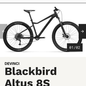 Devinci Blackbird Altus 8S Black