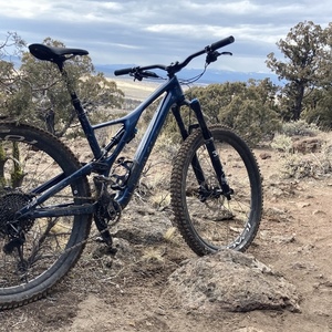 2020 Specialized Stumpjumper Blue