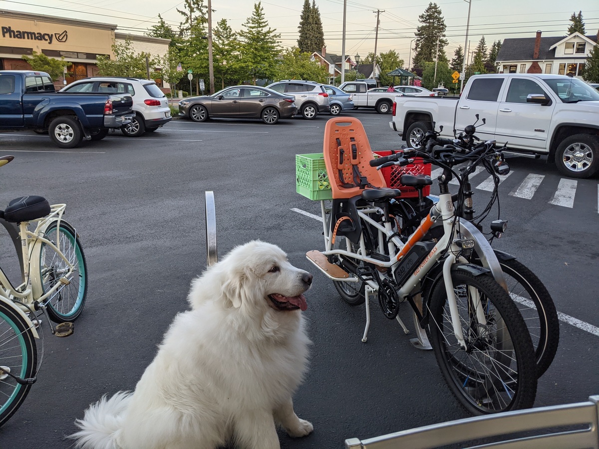 Cargo Bike Rear photo