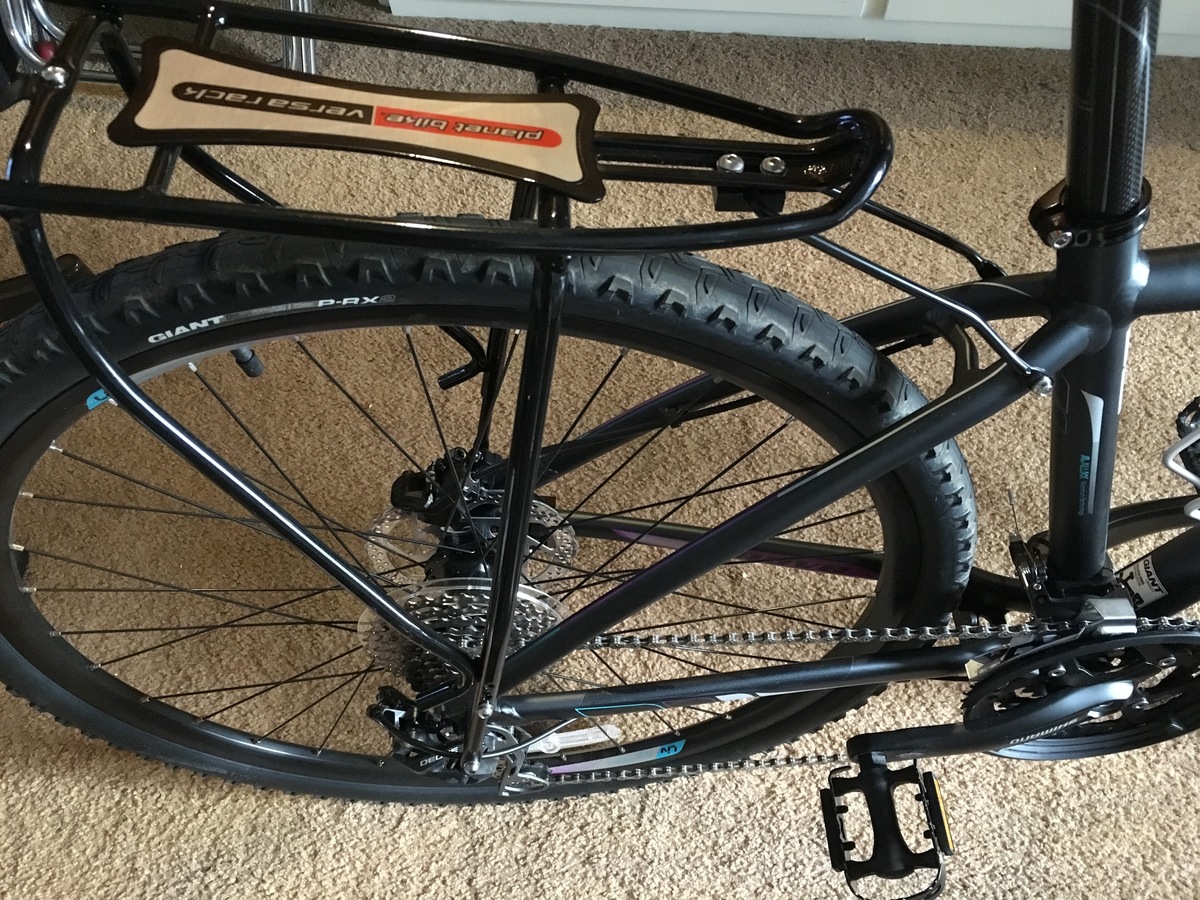 giant rove 1