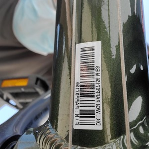 2021 Giant Escape 3 Green