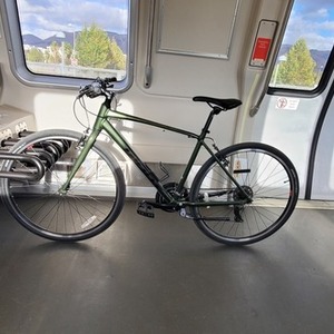 2021 Giant Escape 3 Green