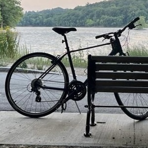 2022 Giant Escape Blue