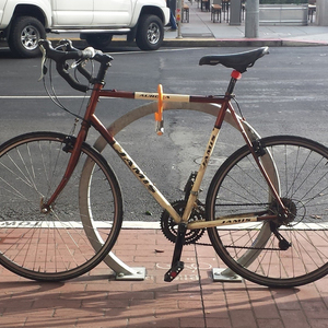 2010 Jamis Aurora Brown