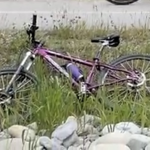 2006 Kona Lisa HT Purple