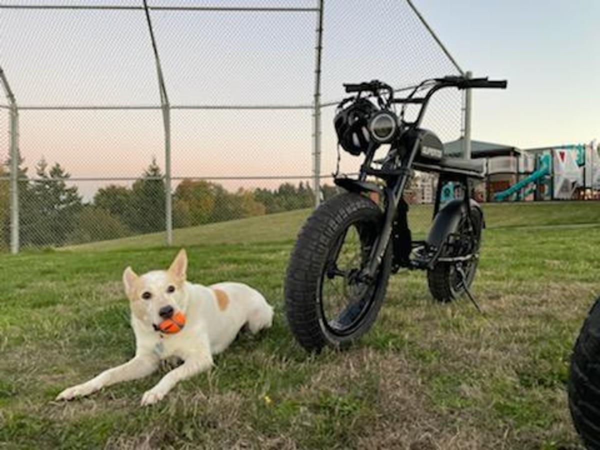 Bike photo