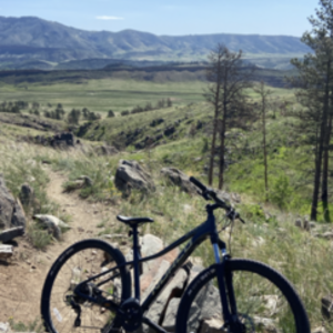 2019 Norco Bikes Mountain Bike Black