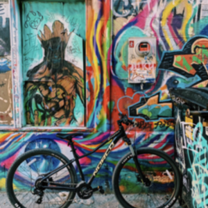 2019 Norco Bikes Mountain Bike Black