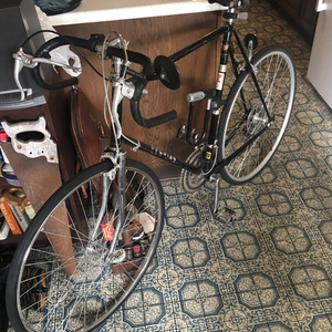 Schwinn World Black