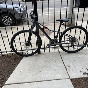 2021 Trek Dual Sport 4 Silver, gray or bare metal