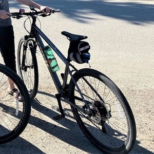 2019 Trek Alpha Gold Aluminum, DuoTrap S compat... Silver, gray or bare metal