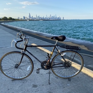 1972 Schwinn Continental Brown