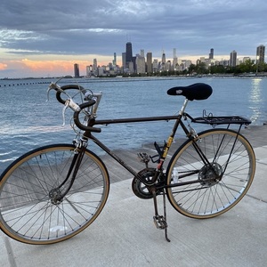 1972 Schwinn Continental Brown