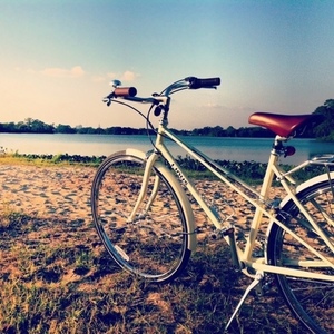 2012 Linus Mixte 3 White