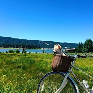 2012 Linus Mixte 3 White