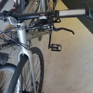 2020 Trek FX Sport 4 Silver, gray or bare metal