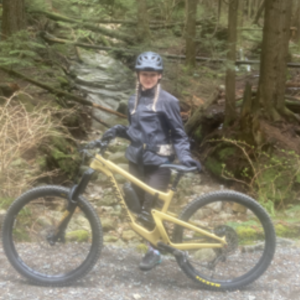 2018 Santa Cruz Nomad Brown