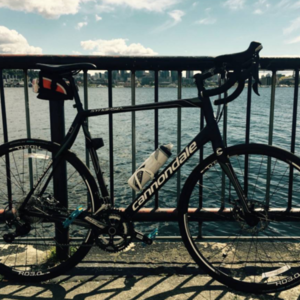 2015 Cannondale synapse Black and White