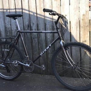 1994 Giant Iguana Black