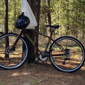 2013 Novara Buzz Brown