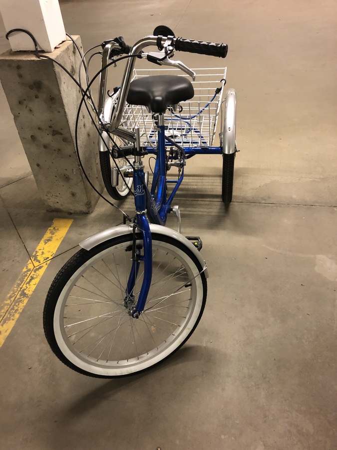 2022 Genesis Muskoka tricycle