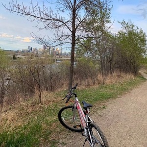 2022 movelo 56210C Pink