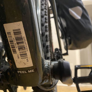 2021 Specialized Rockhopper Expert Green and White