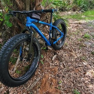 2016 Specialized Fatboy Blue