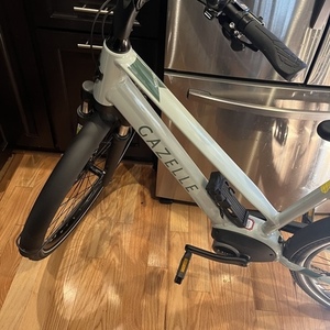 2022 Gazelle T9 modeo Green