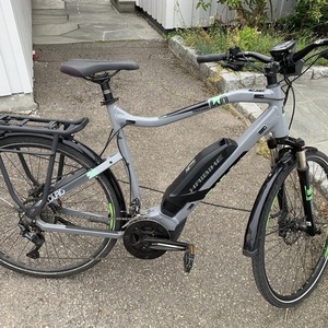 2019 Haibike Sduro trekking 4.0 Silver, gray or bare metal