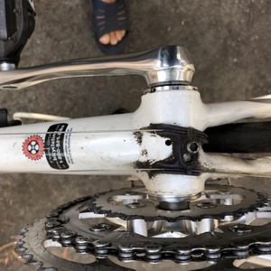 Giant TCR 2 White