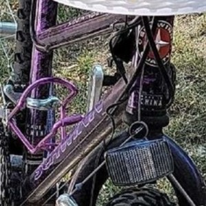 1995 Schwinn Sidewinder Purple