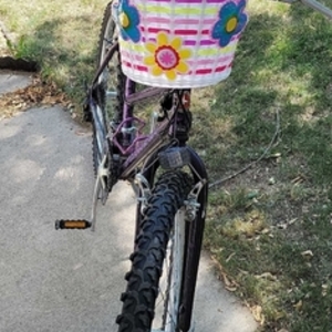 1995 Schwinn Sidewinder Purple