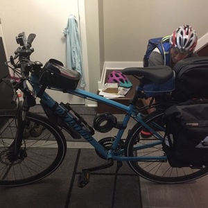 crosstrail hydraulic disc 2019