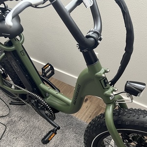 2022 Rad Power Bikes RadRunner 2 Electric Utility Bike cargo bike (rear storage) Green