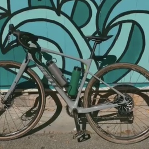 2019 Giant Revolt Silver, gray or bare metal and Green
