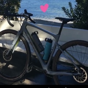 2019 Giant Revolt Silver, gray or bare metal and Green