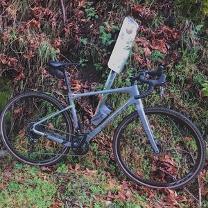 2019 Giant Revolt Silver, gray or bare metal and Green
