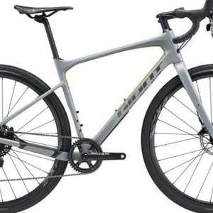 2019 Giant Revolt Silver, gray or bare metal and Green