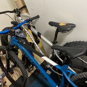 2021 Rocky Mountain Bicycles Soul Large Blue, White, and Black