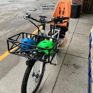 2019 Rad Power Bikes RadWagon White