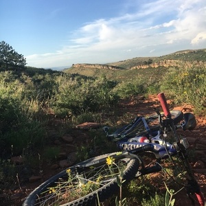 2015 Specialized Era Purple