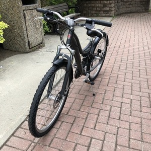 2019 Schwinn Silver, gray or bare metal