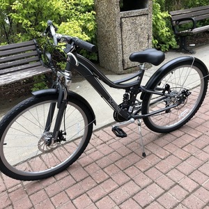 2019 Schwinn Silver, gray or bare metal