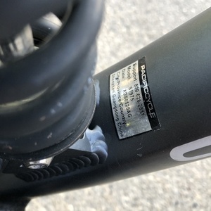 2019 Schwinn Silver, gray or bare metal