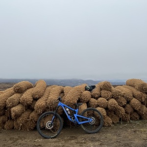 2019 Juliana Bicycles Strega Blue