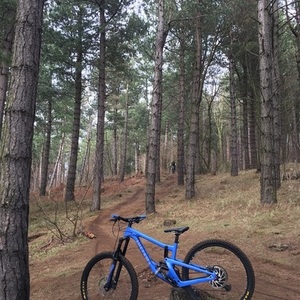 2019 Juliana Bicycles Strega Blue