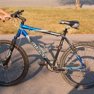 2005 Giant RINCON Silver, gray or bare metal, Blue, and Black