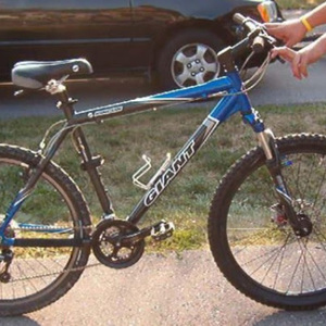 2005 Giant RINCON Silver, gray or bare metal, Blue, and Black
